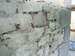 christchurch -1403.jpg